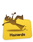 Hazards